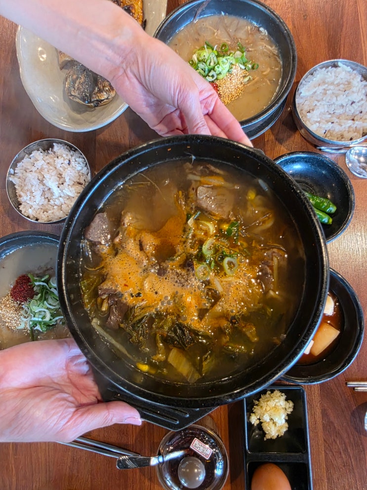  제주 협재 도민 맛집 제주 고사리해장국 채훈이네 제주도 해장국