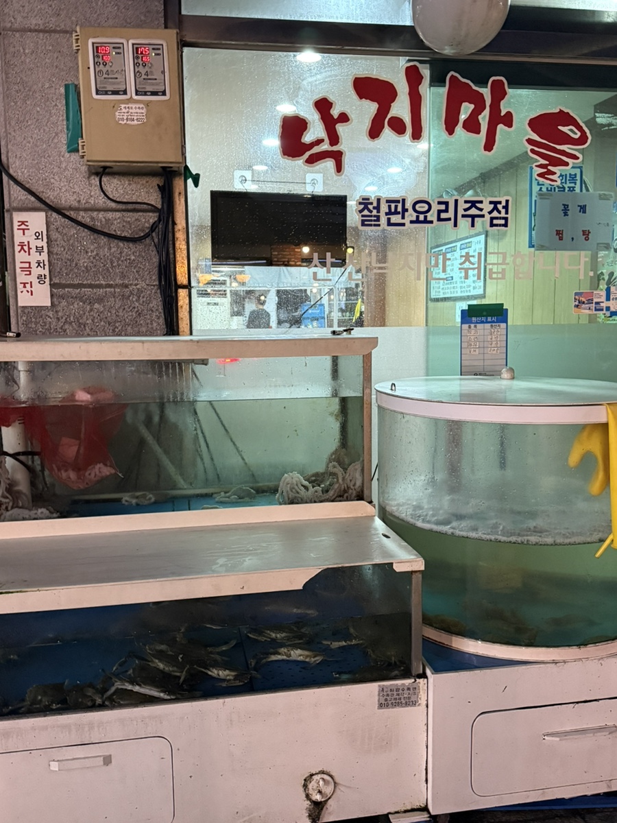 낙지마을 사진 2