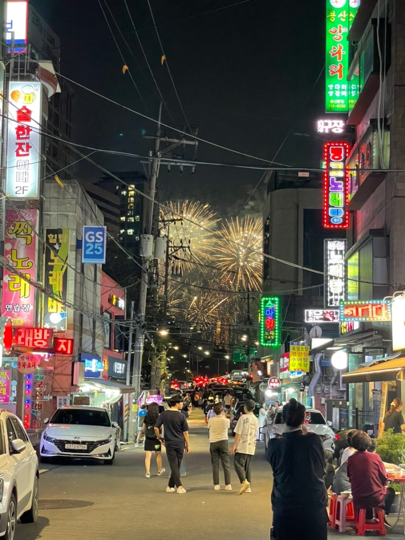 2025서울세계불꽃축제 후기 - 용산구 원효대교 부근 불꽃명소들