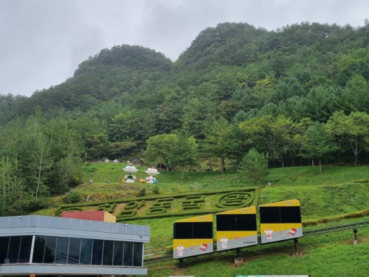  정선 화암동굴 이용시간 입장료 모노레일 이용후기 및 꿀팁