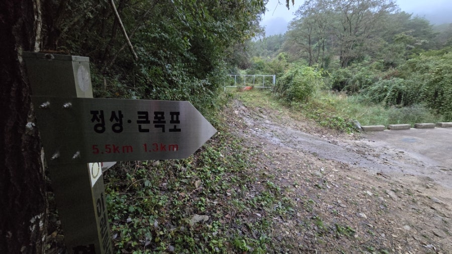 대성산 폭포 사진 3