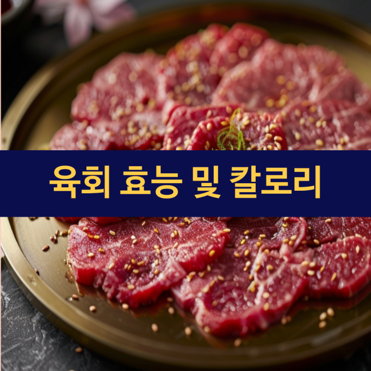  육회 효능 | 육회 1인분 칼로리 | 소고기 생고기 효능