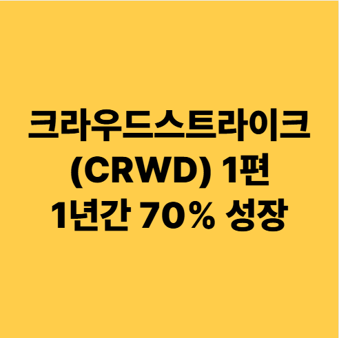  크라우드스트라이크(CRWD) 1편 미국주식 주가 1년간 70% 성장