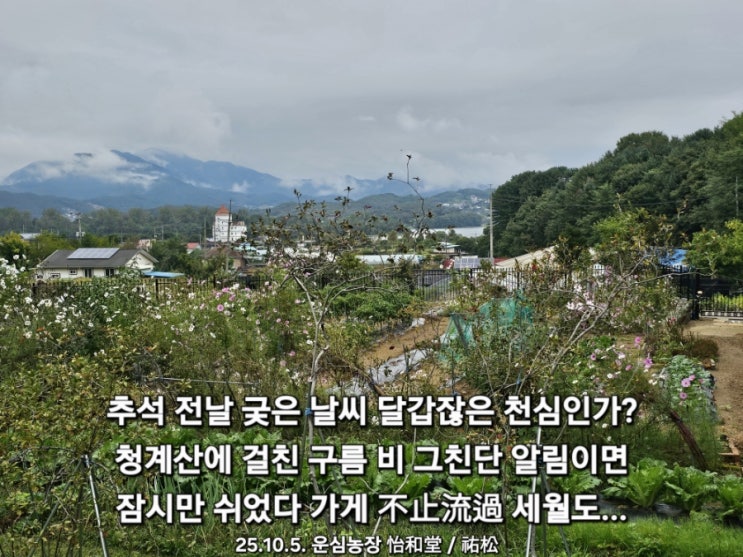 <b>궂은 날씨</b>로 <b>추석</b>을 맞아도  <b>추석</b>은 <b>추석</b> ! 풍성하고 축복받는... 
