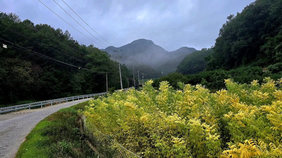 대성산 폭포 사진 1