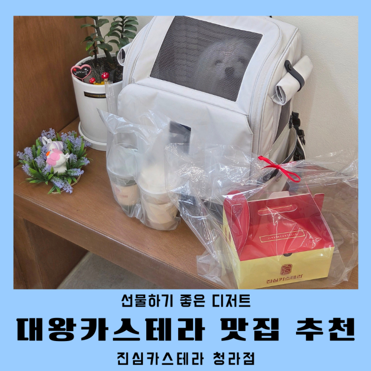  인천 대왕카스테라 맛집 진심카스테라 청라점 포장 후기