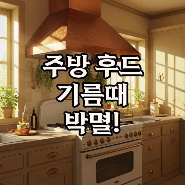  다이소꿀템으로 주방 후드 기름때 청소 확실히 하는 법: 과탄산소다와 렌지후드필터 활용 꿀팁