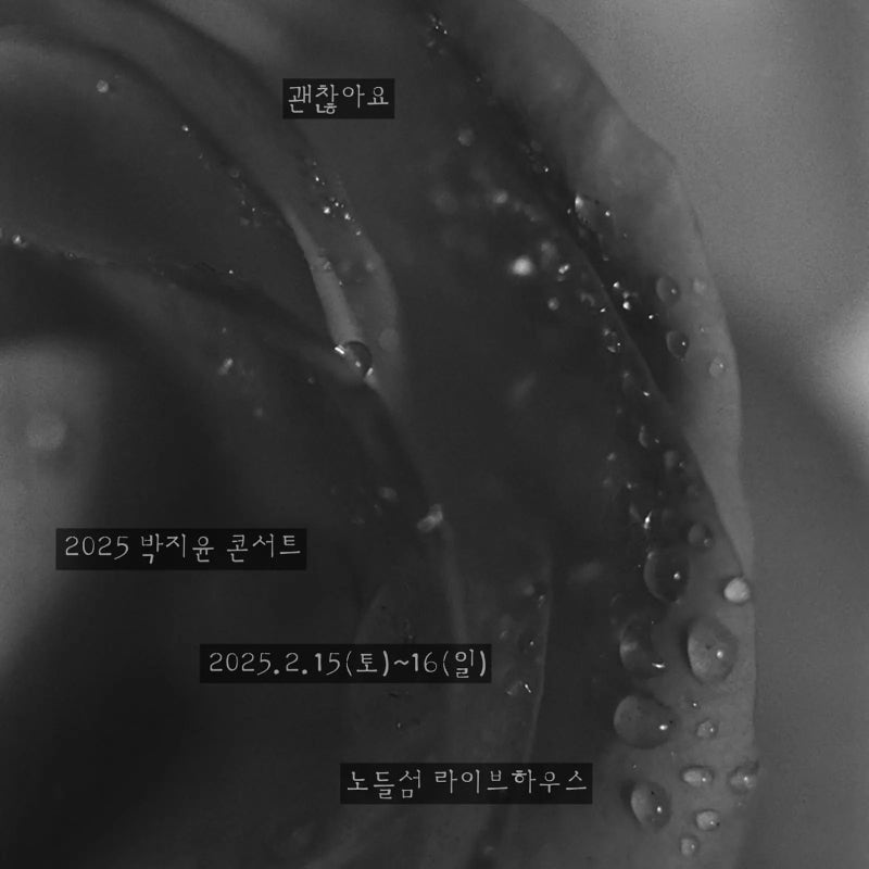 2025 박지윤 콘서트 후기 | 2.16(일) 노들섬 & 9.28(일) 코엑스아티움