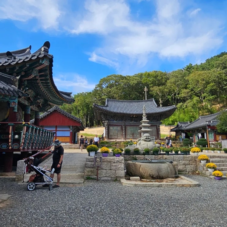  부산 아기랑 가볼만한 곳 기장 장안사 유모차 산책 장안사계곡
