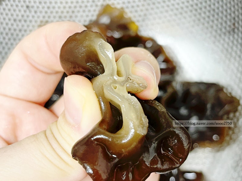 건목이 대신 생목이버섯, 이렇게 손질 보관하면 맛이 달라져요