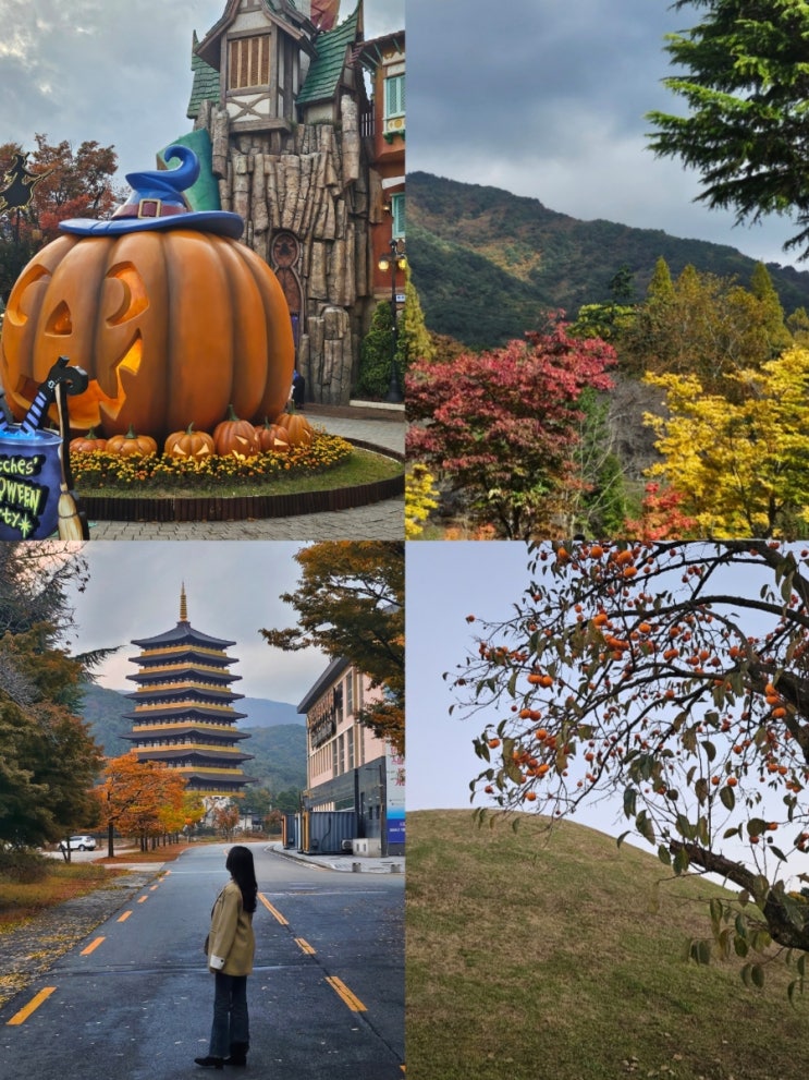  경주 1박2일 뚜벅이코스 10월 경주여행 가볼만한곳 일정 총정리