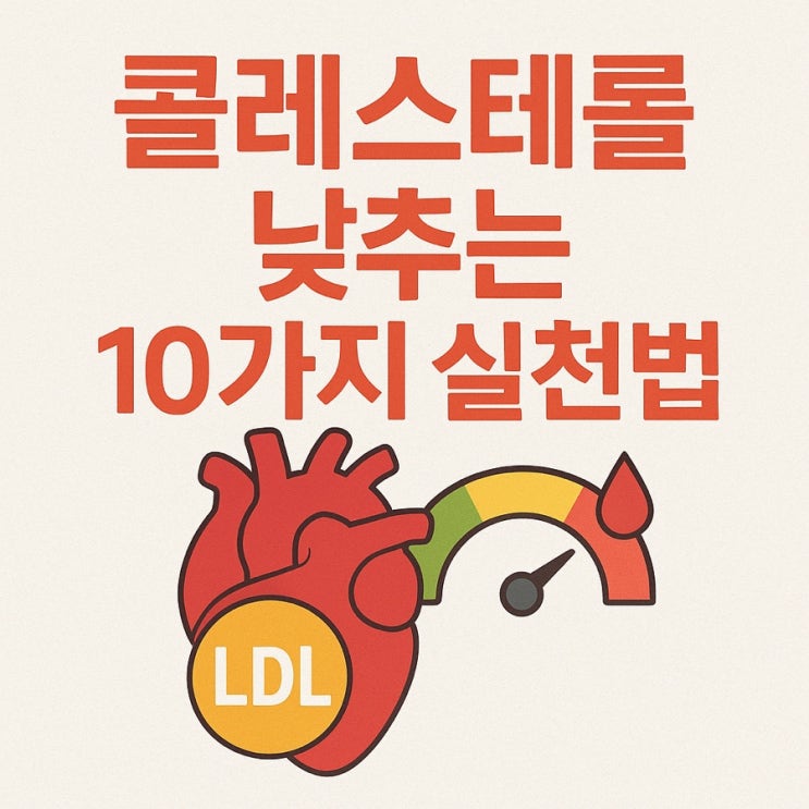  콜레스테롤 낮추는 10가지 실천법 | 혈관 건강을 지키는 식습관 & 생활습관 총정리