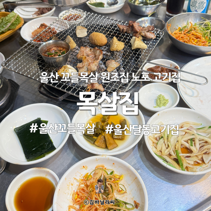  울산 달동 맛집 목살집 꼬들목살 회식장소 노포 술집 고기집