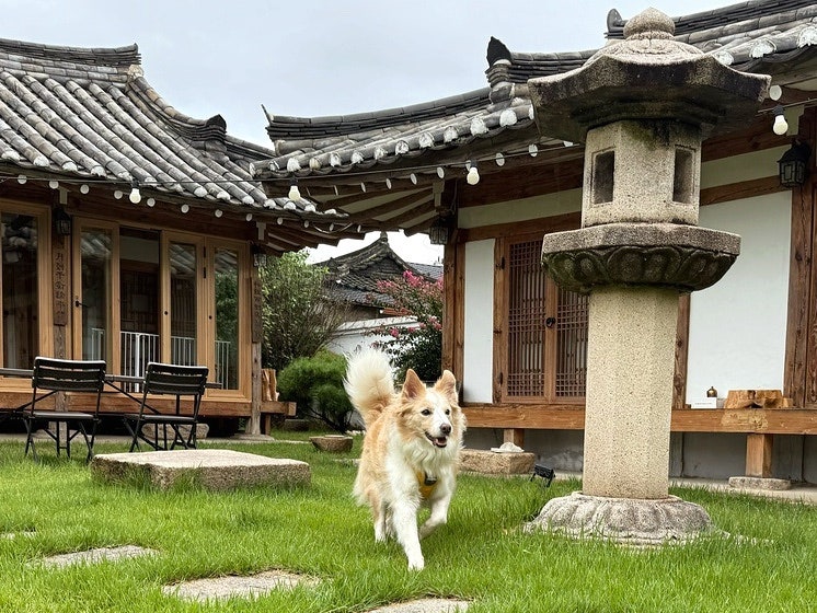 사진 7