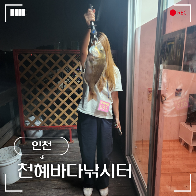  인천 천혜바다낚시터 방갈로 이용 참돔 득템했어요