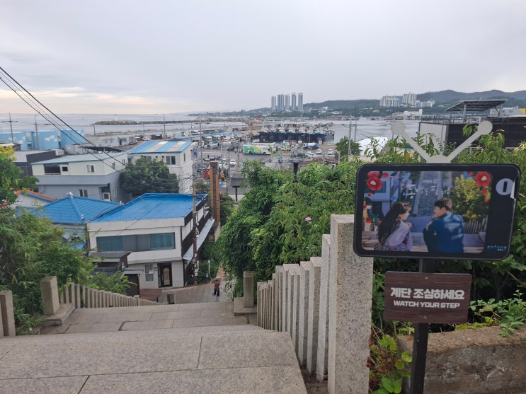  [경북 포항] 구룡포 일본인 가옥거리 (1) - 구룡포 공원,  일제강점기 '구룡포 신사'의 흔적