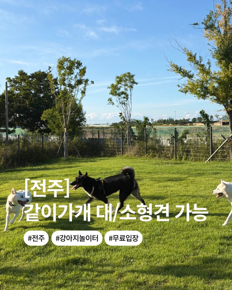 사진 3