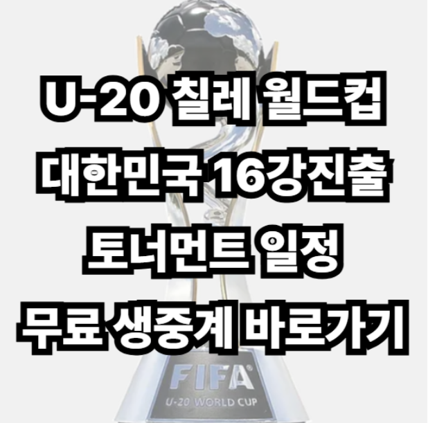 <b>아르헨</b>·이탈리아·모로코 중 누구와 격돌? 한국 U20 <b>16강</b>... 