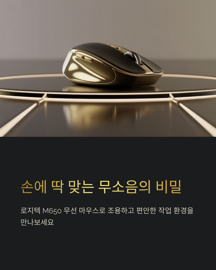  내 손에 쏙! 로지텍 M650 무소음 마우스 사이즈별 선택 꿀팁