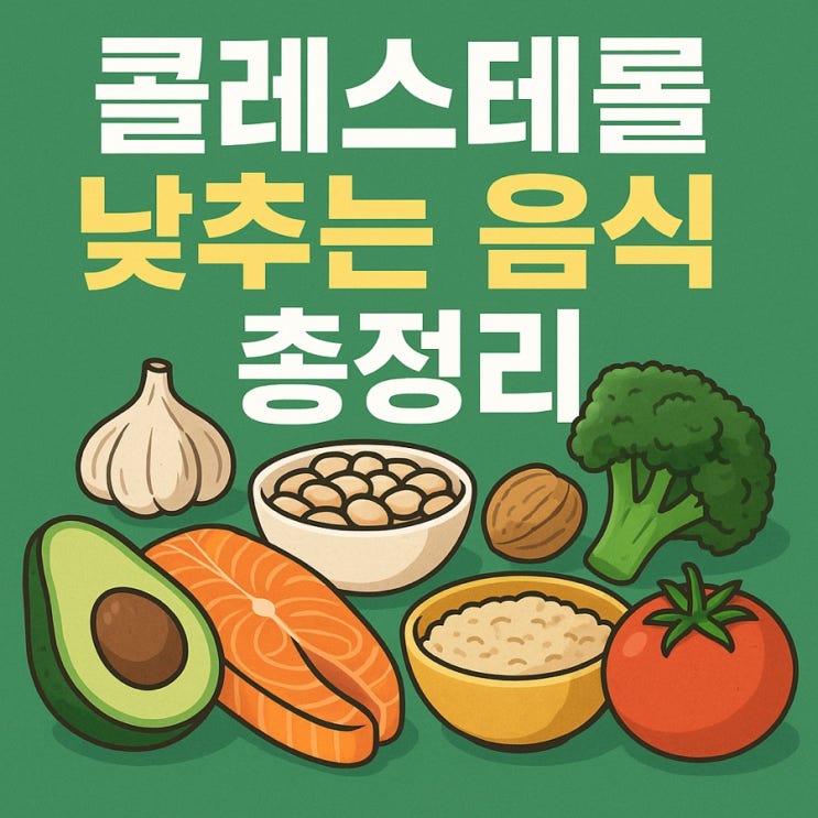  콜레스테롤 낮추는 음식 총정리ㅣ혈관 건강을 지키는 식단 가이드