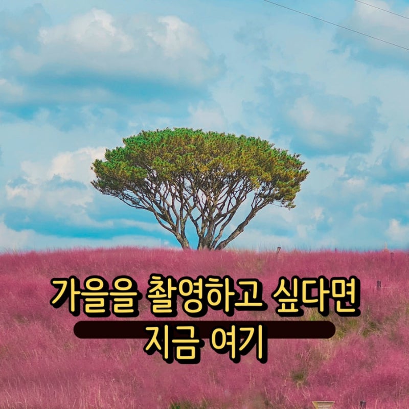 사진 4