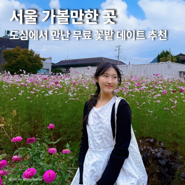  무료인데 아무도 몰라요. 서울 추석연휴 데이트 장소 추천