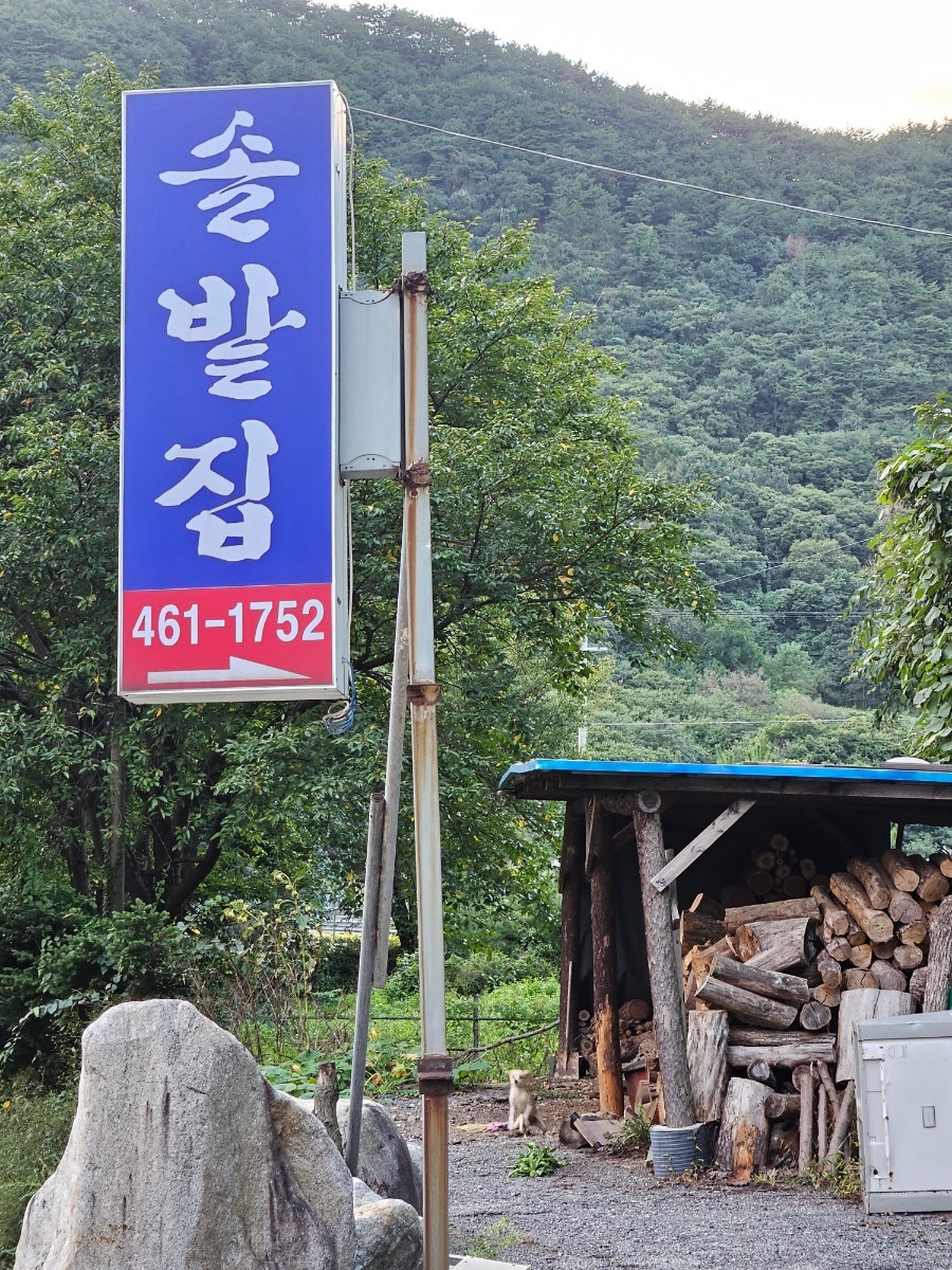 솔밭집 사진 6