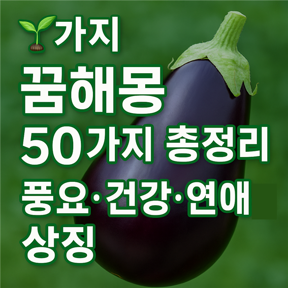  가지 꿈해몽