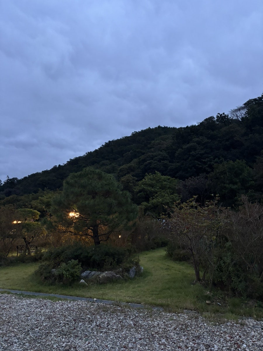 신계동장어 사진 6