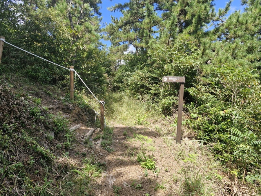 봉황산 사진 4