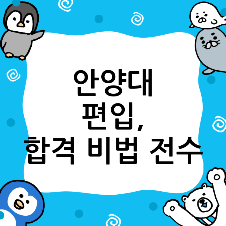  안양대 편입 성공 전략: 복잡한 현실, 명쾌한 해답!
