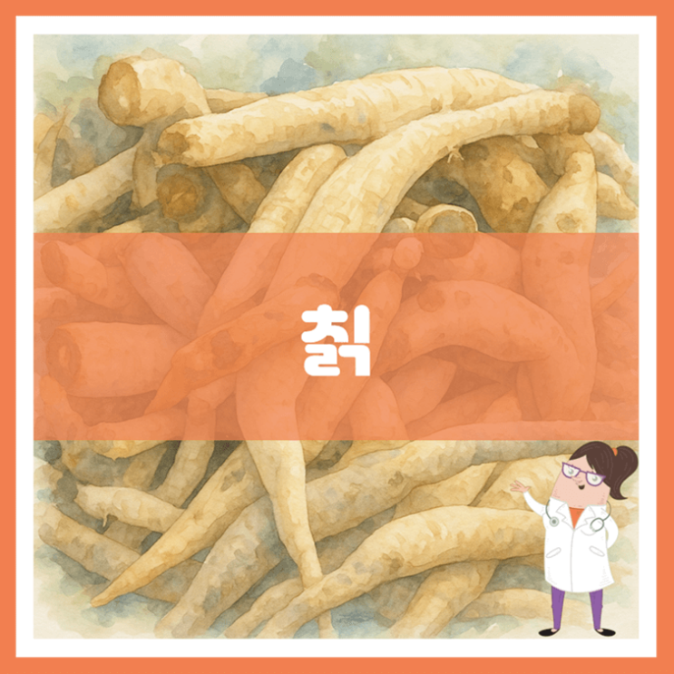  칡 효능 부작용 먹는 방법