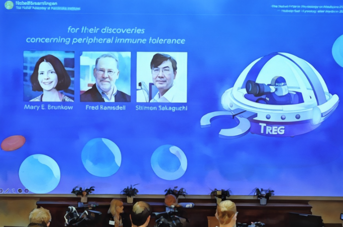 2025 <b>노벨 생리의학상</b>, 말초 <b>면역 관용</b>의 비밀을 밝힌 매리... 