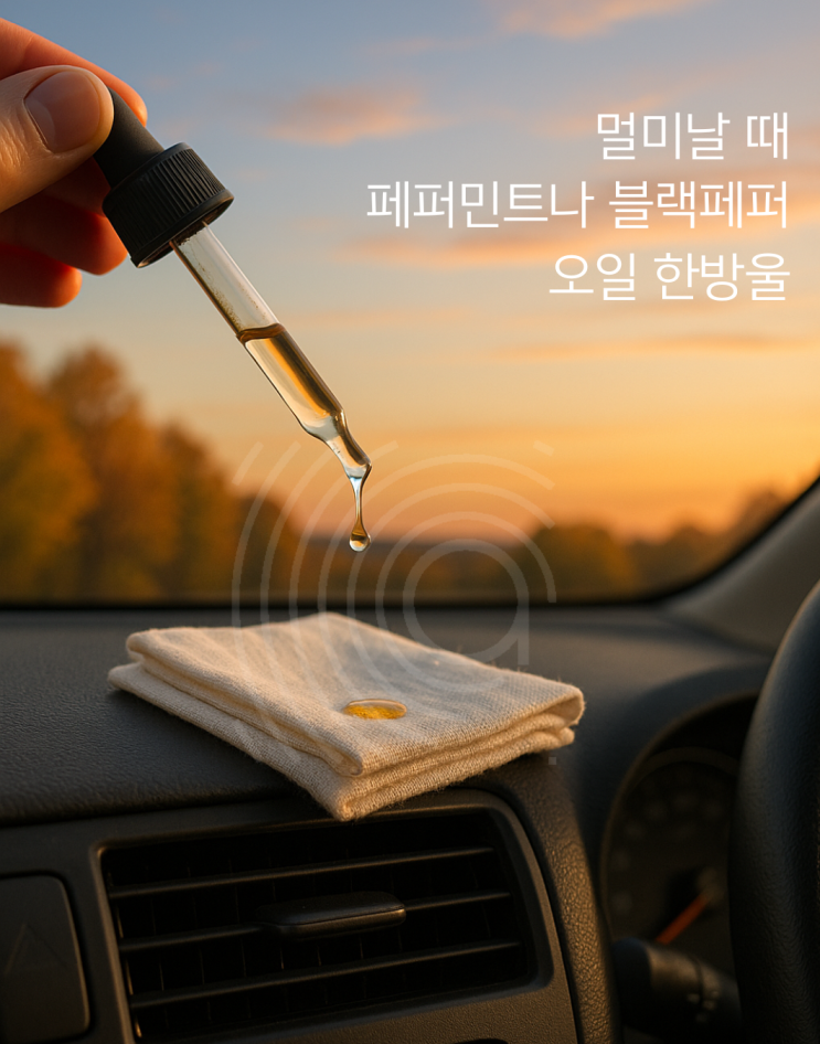  과식 후 아로마케어 : 11년차 아로마테라피스트가 추천하는 페퍼민트 오일 활용법