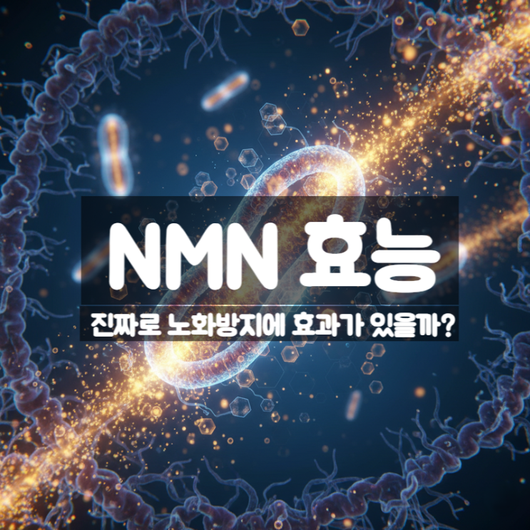  NMN 효능 부작용 공복 복용시간 – 노화방지 항노화에 진짜 효과 있을까?