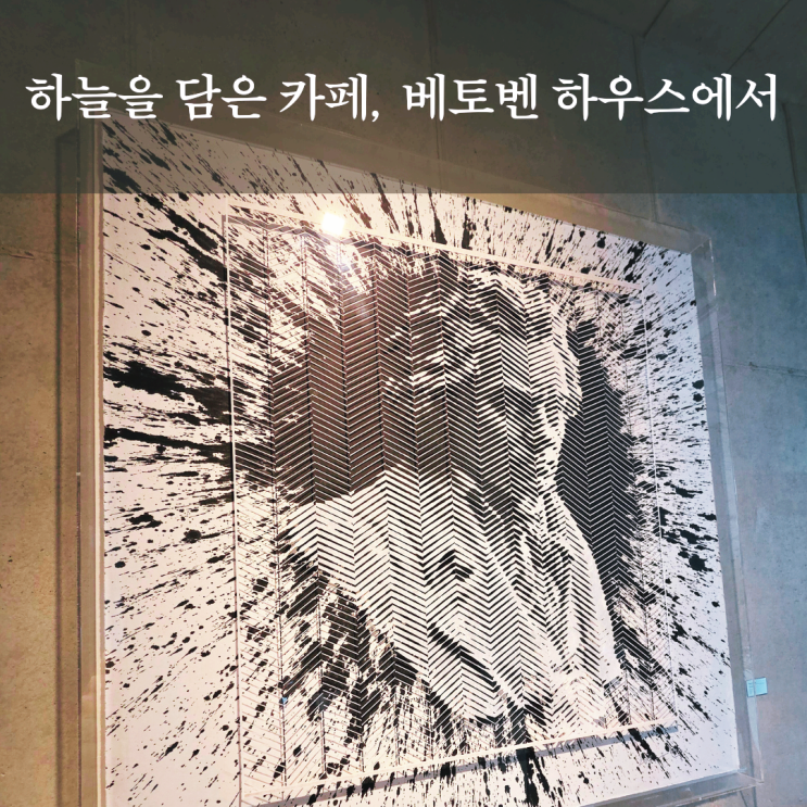  영종도 베토벤 하우스 애견동반 감성카페 방문 후기
