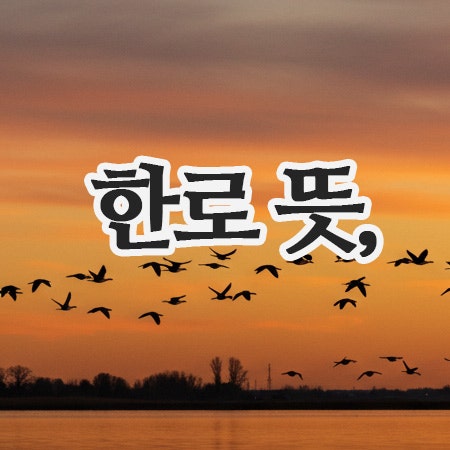  한로 뜻과 음식, 그리고 풍습이야기까지!