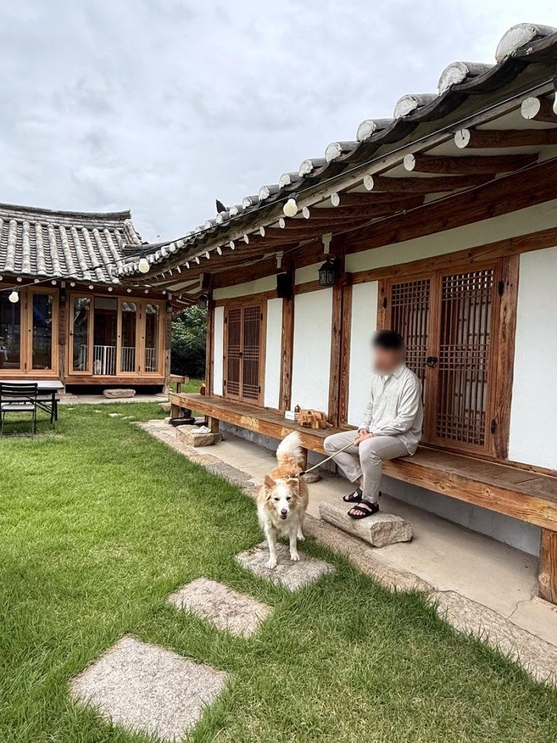 사진 8