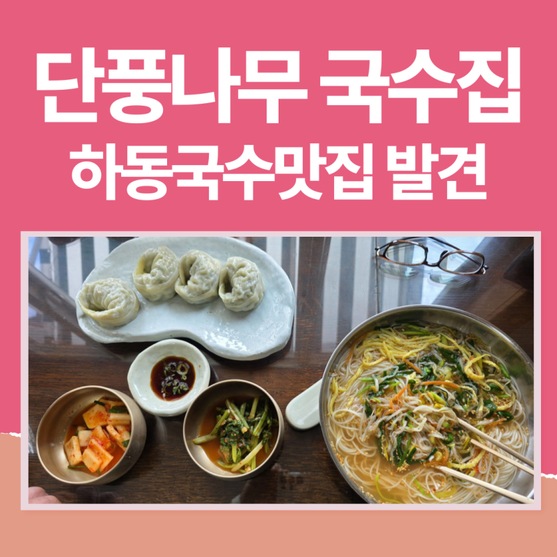 잔치 국수가 맛있는 하동 국수 맛집 단풍나무 국수집