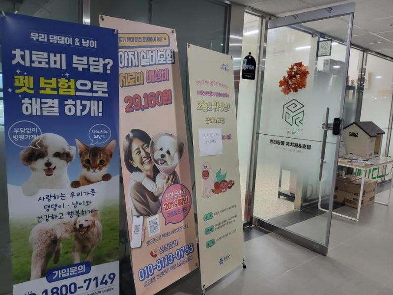사진 5