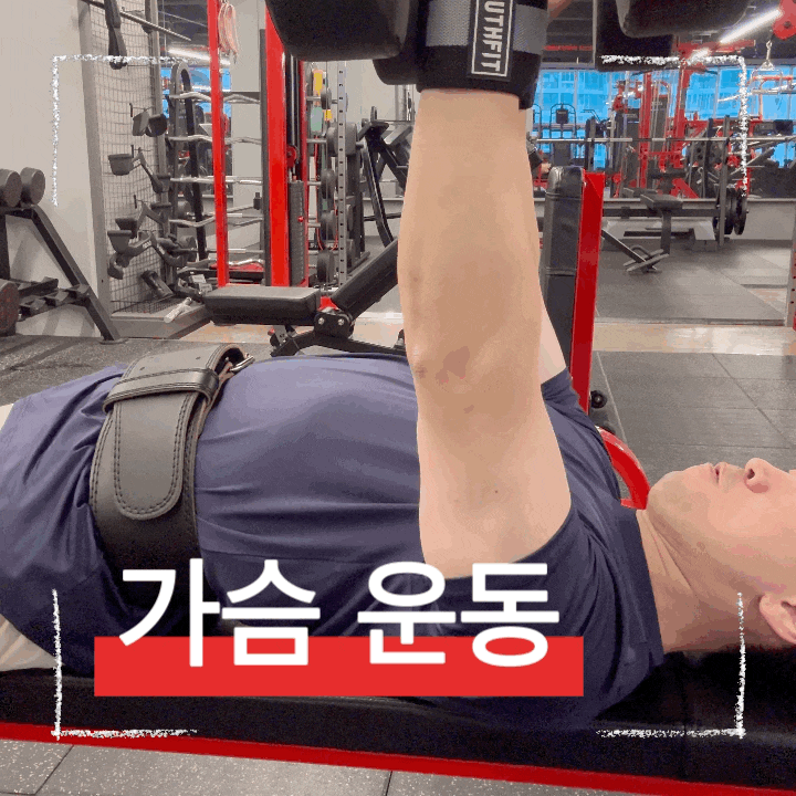  가슴운동 새로운 자극 덤벨 뉴트럴 체스트 프레스 가이드