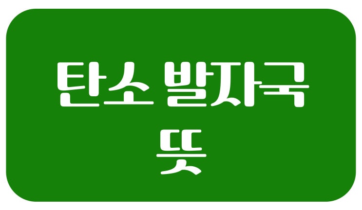  탄소발자국이란? 쉽게 이해하고 바로 실천하는 방법