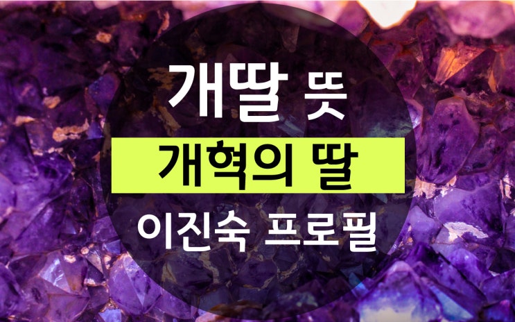 개딸 뜻, 개혁의 딸 이재명 <b>이진숙</b> 배우자 남편 프로필