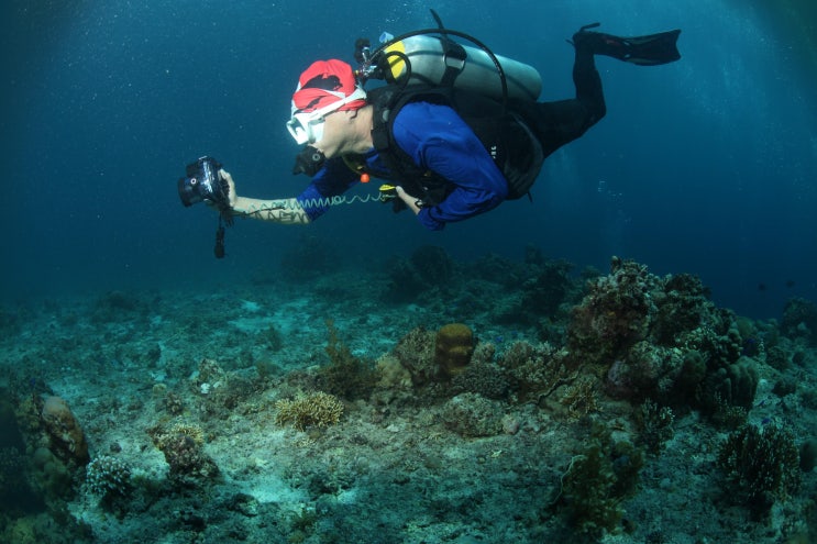 필리핀) 모알보알 스쿠버다이빙 준다이브 ; (Pescador Island)