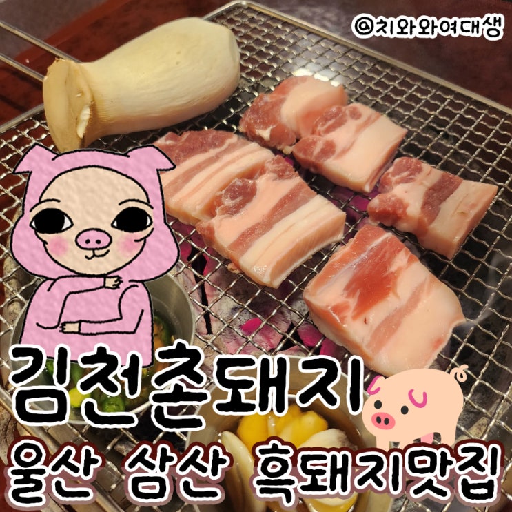  울산 삼산 고기집 김천촌돼지 찐맛집