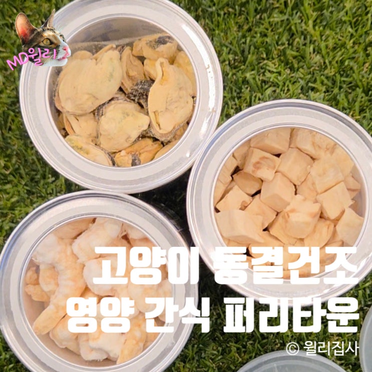  고양이 동결건조 간식 퍼리타운 건강 영양이 필요한 순간