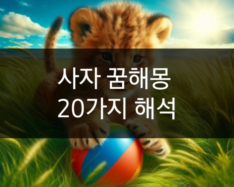 사자꿈해몽 사자나오는꿈 20가지