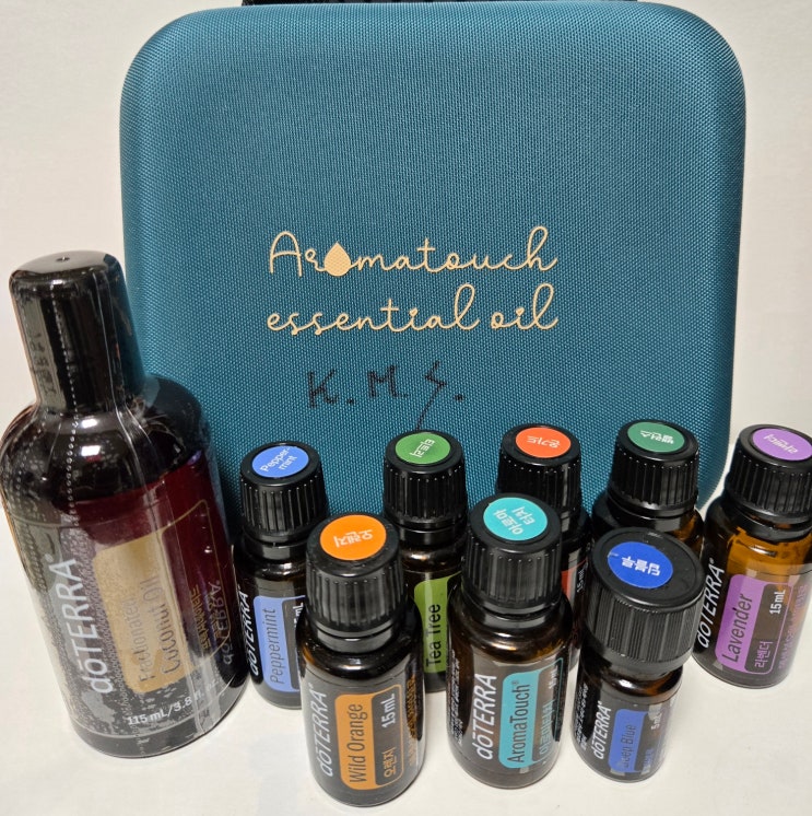  도테라 아로마 8터치 마사지 (AromaTouch Massage)