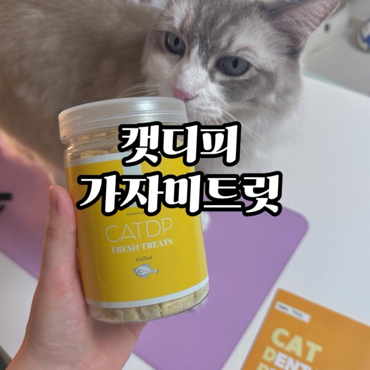  아기 고양이 영양 가자미 간식-캣디피 프레시트릿 가자미 트릿 후기
