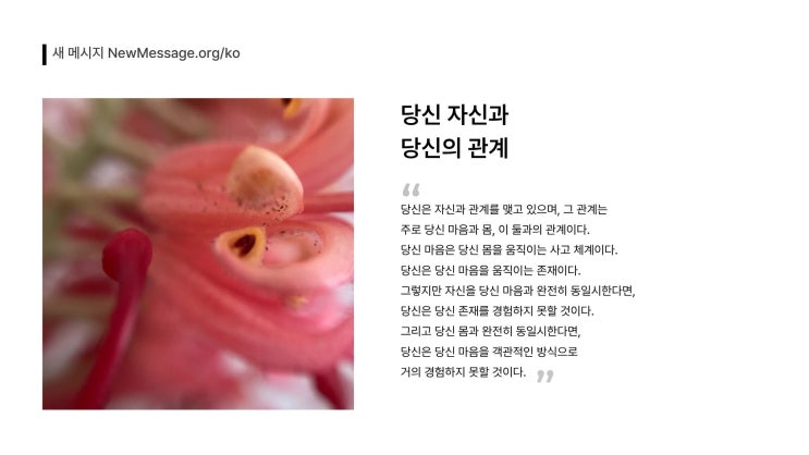  나의 생각, 감정, 기분이 나인가?